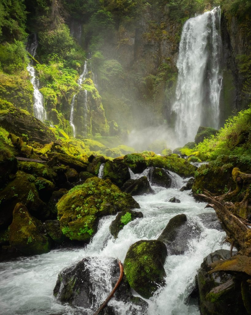 peru, machu picchu, rainforest, trekking